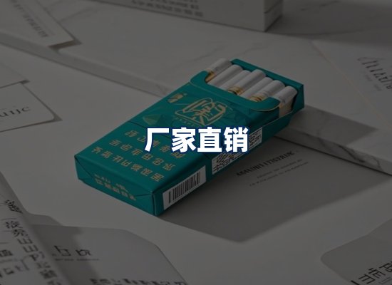 专业团队办公环境